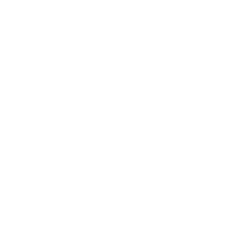 Experience icon